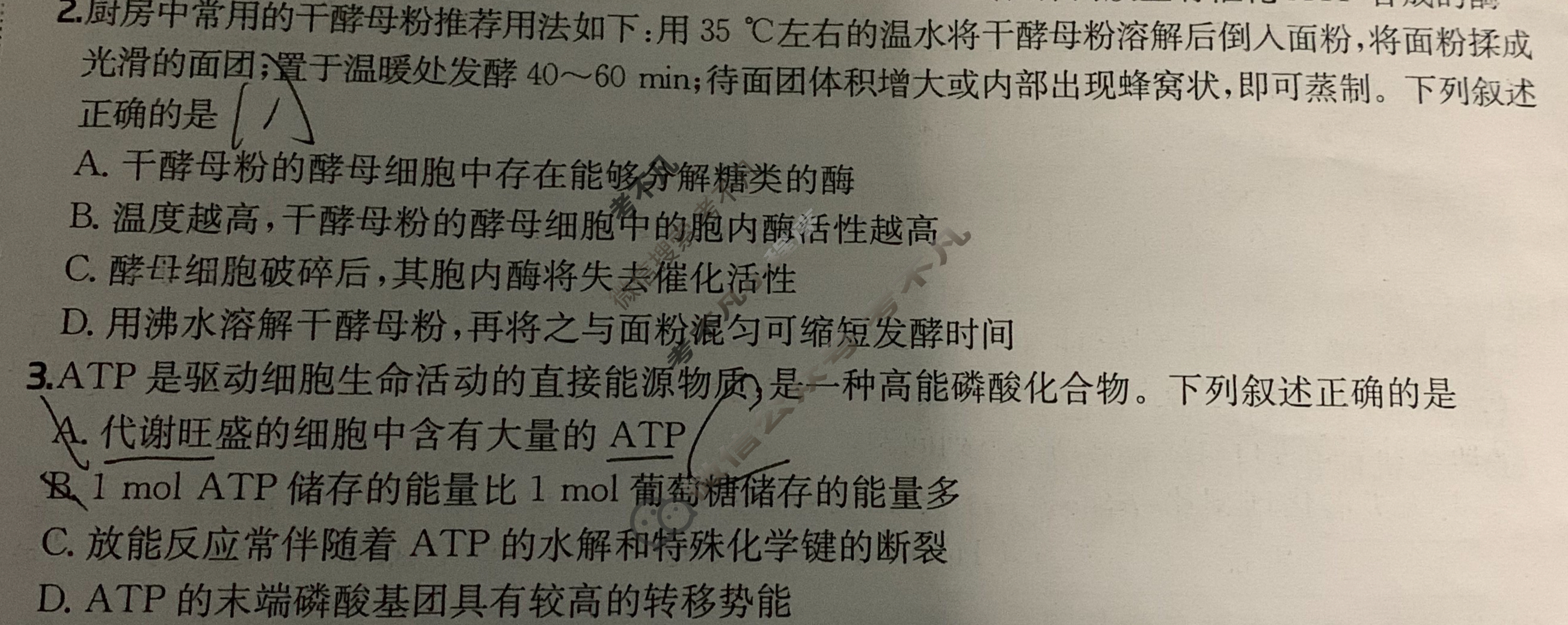 2025年高三第一轮复习周测卷·生物学[25·G3ZCJ(新高考)·生物学-R-必考-G DONG](五)5试题