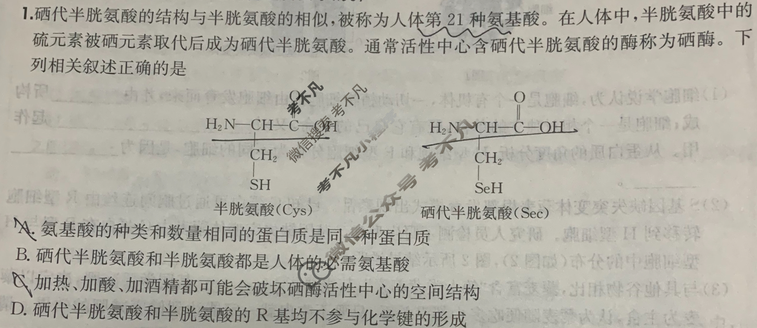 2025年高三第一轮复习周测卷·生物学[25·G3ZCJ(新高考)·生物学-R-必考-G DONG](二)2试题