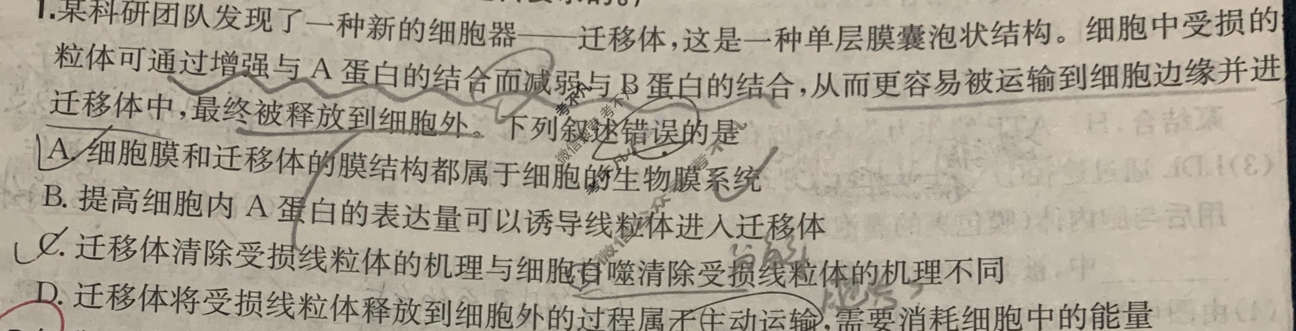 2025年高三第一轮复习周测卷·生物学[25·G3ZCJ(新高考)·生物学-R-必考-G DONG](四)4试题