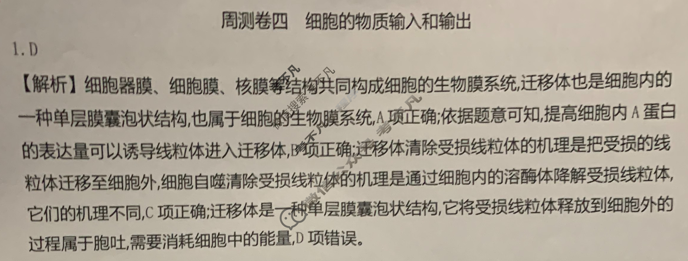 2025年高三第一轮复习周测卷·生物学[25·G3ZCJ(新高考)·生物学-R-必考-G DONG](四)4答案