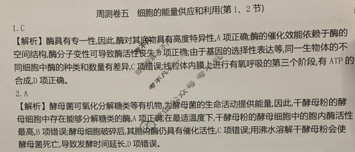 2025年高三第一轮复习周测卷·生物学[25·G3ZCJ(新高考)·生物学-R-必考-G DONG](五)5答案
