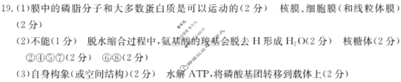 2025届湖北省高三金太阳10月联考(无角标)生物答案