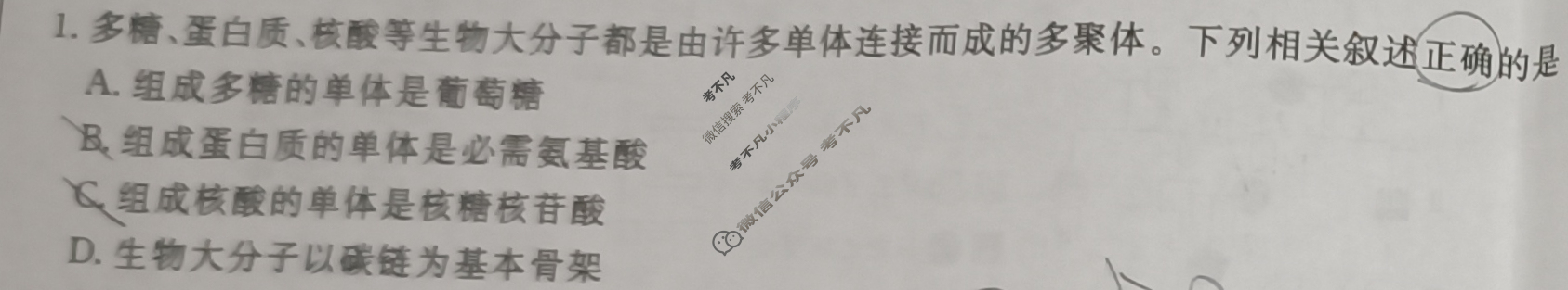 陕西省2025届高三金太阳10月联考(无角标)生物试题