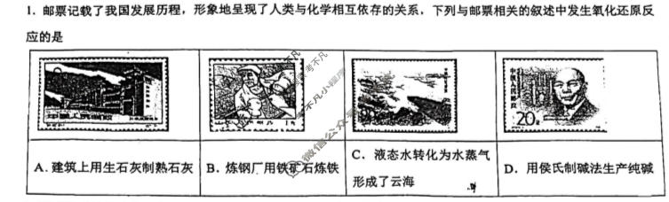 东莞市2024-2025学年高一年级第一学期五校第一次联考化学试题