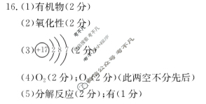 辽宁省2024-2025学年高一金太阳10月联考(无角标)化学答案