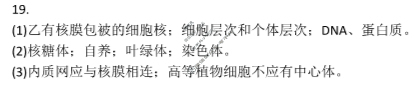 [天一大联考]2024-2025学年(上)南阳六校高一年级期中考试生物答案