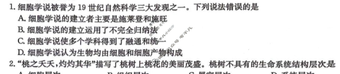 河北省2024-2025学年高二金太阳11月联考(11.2)生物试题