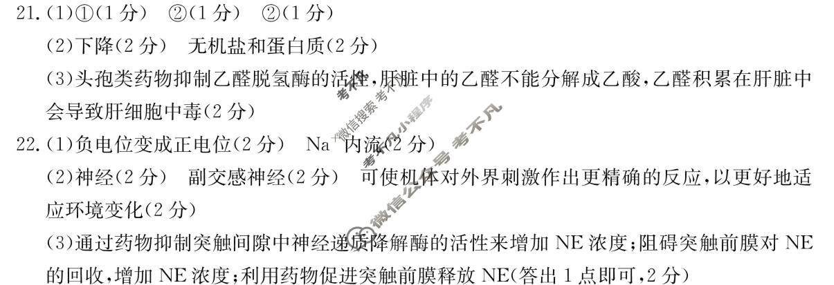 辽宁省2025届高二金太阳11月联考(126B)生物答案