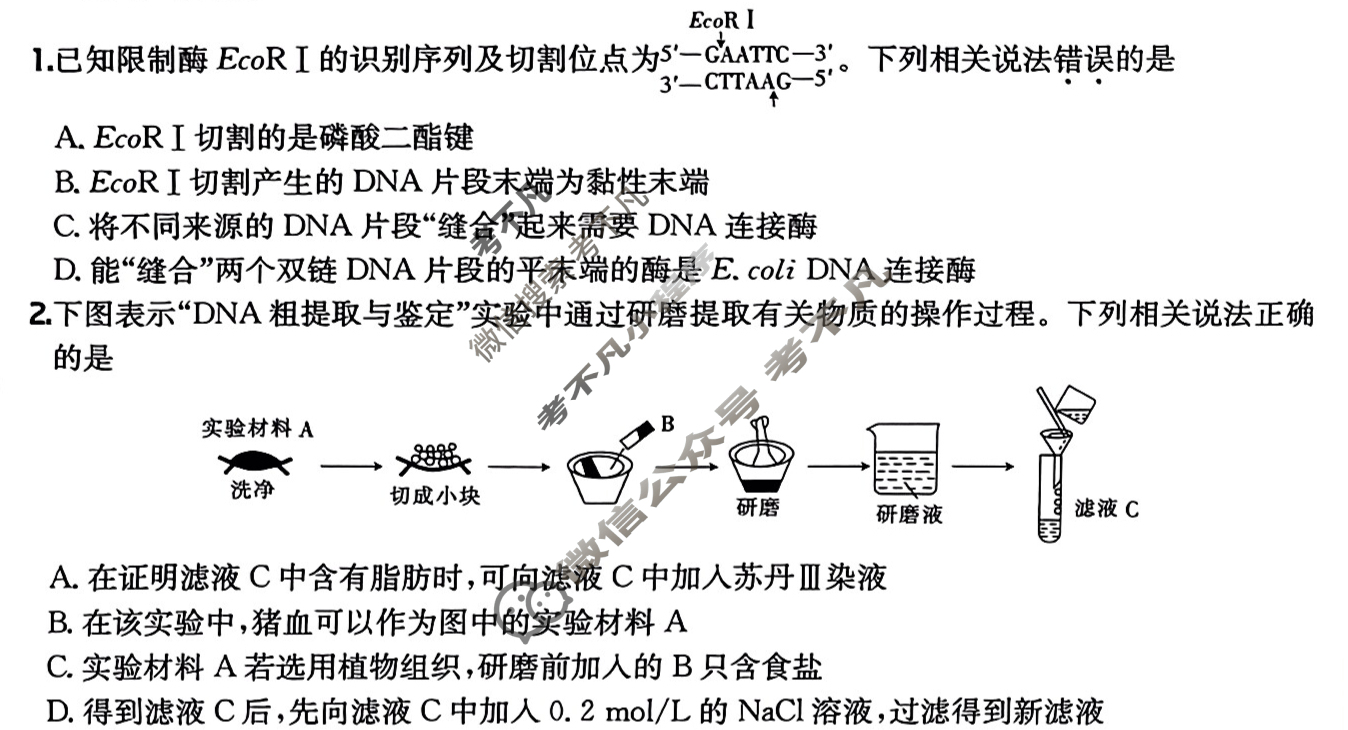 2025年高三第一轮复习周测卷·生物学[25·G3ZCJ(新高考)·生物学-R-必考-QGA-Y](二十七)27试题