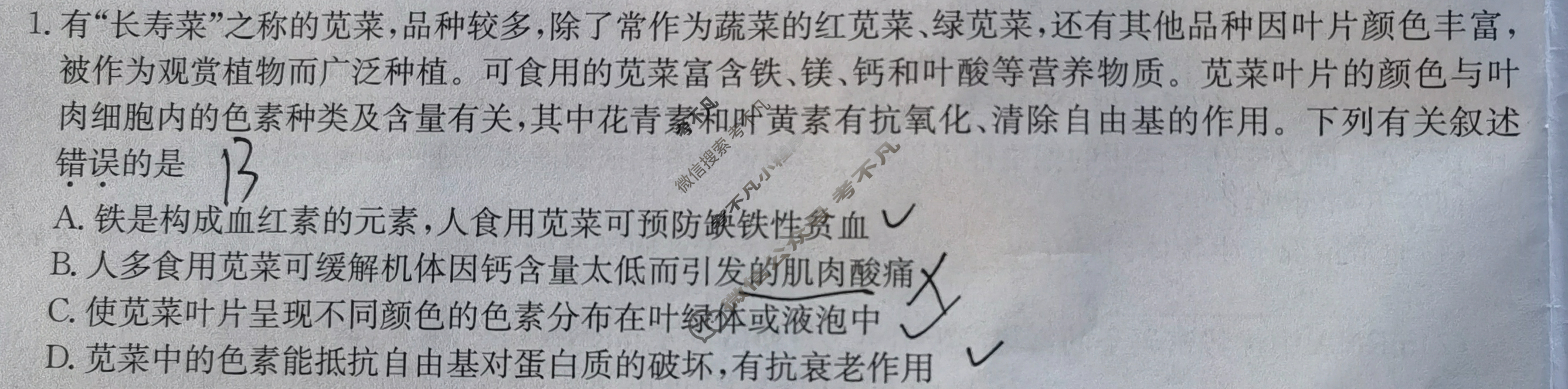 [九师联盟]2025届高三10月质量检测巩固卷(角标含G)生物LY-G试题