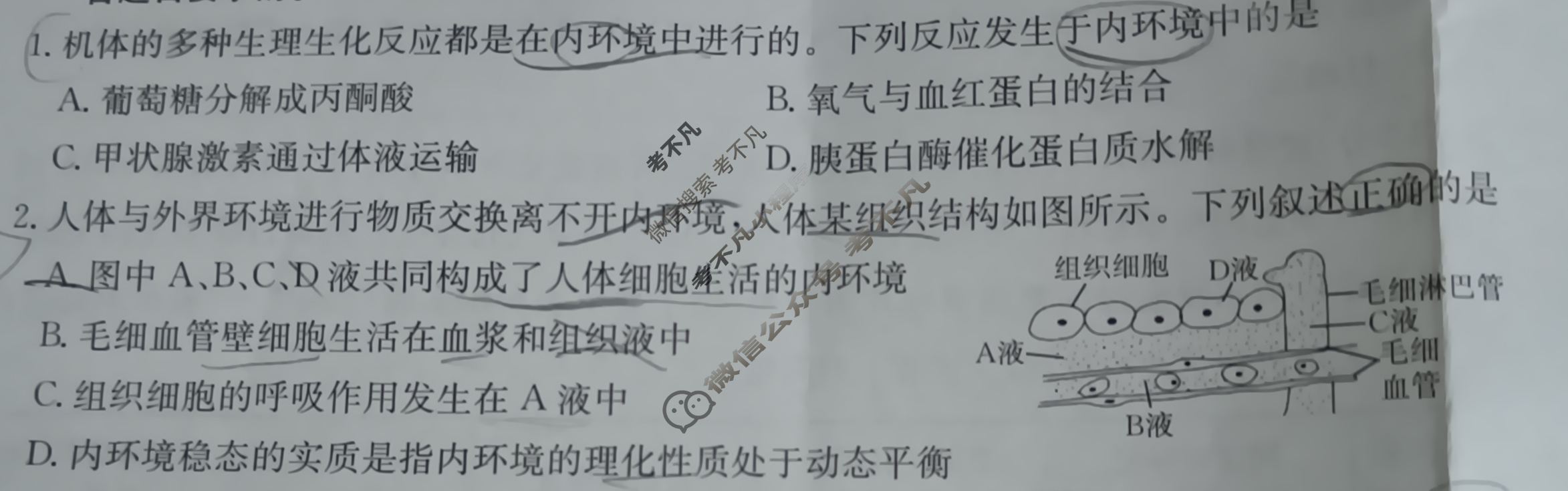 陕西省2024-2025学年高二金太阳11月联考(11.7)生物试题