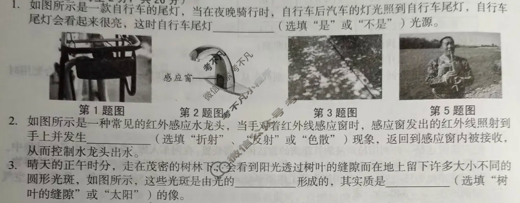 [安徽第一卷]2024-2025学年安徽省八年级教学质量检测二Ⅱ(10月)物理(沪粤版)试题