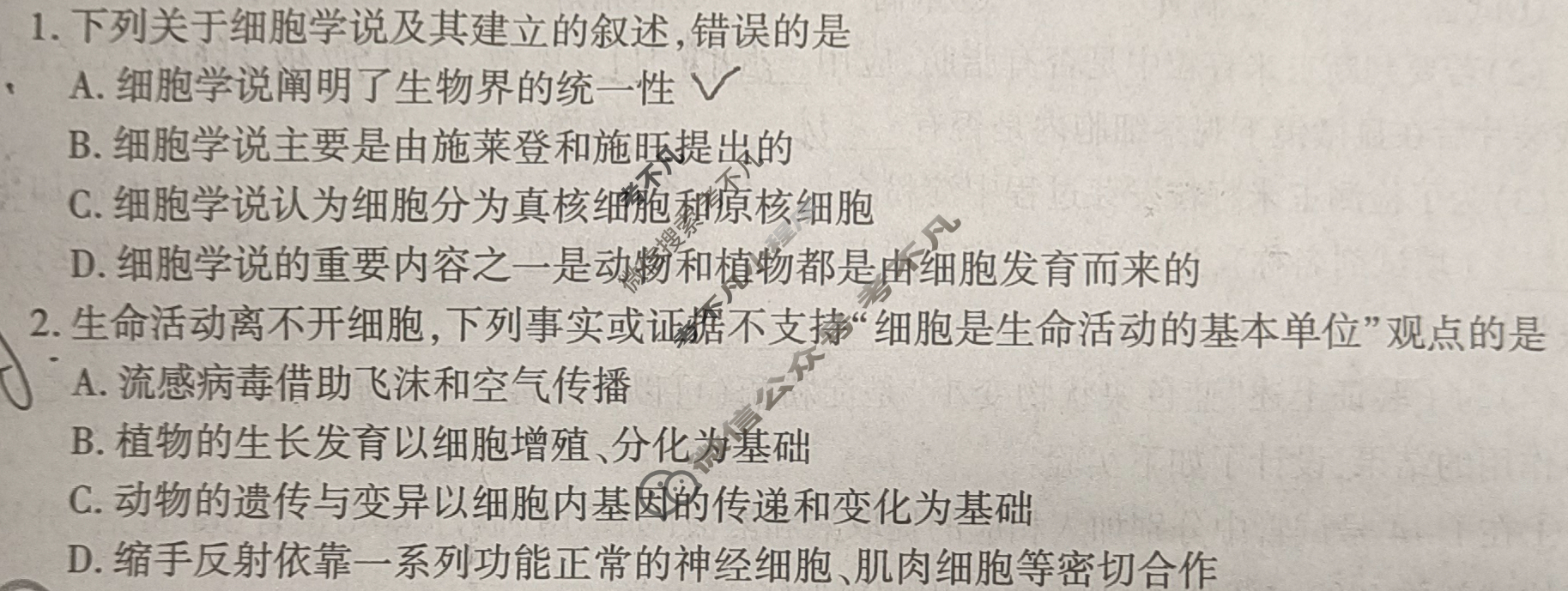 礼泉县2024~2025学年度第一学期期中学科素养评价质量调研高一(11月)生物试题