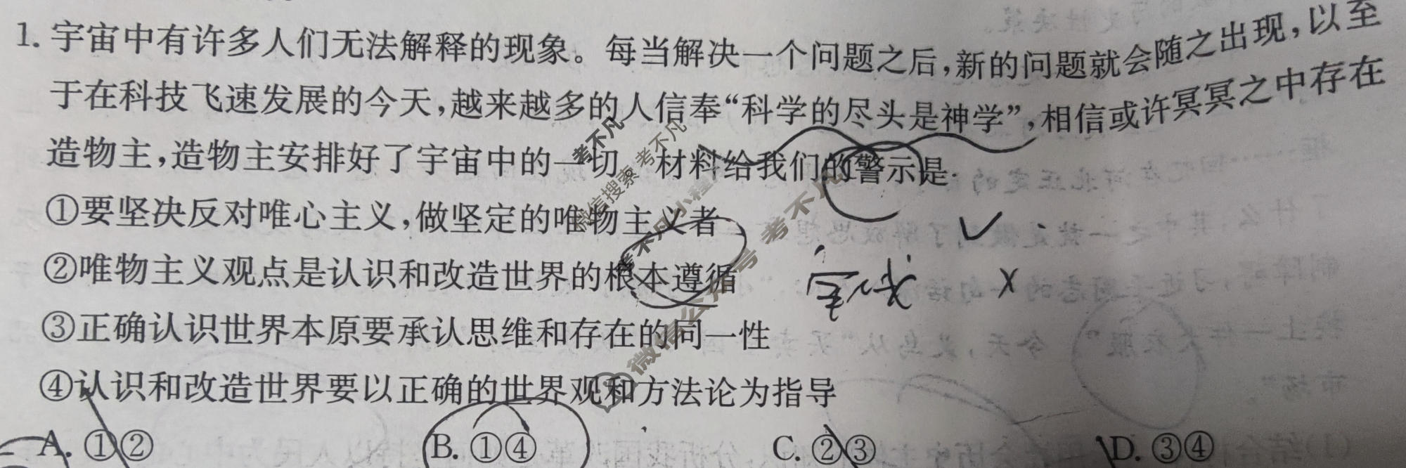 陕西省2024-2025学年高二金太阳11月联考(11.7)政治试题