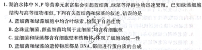 [天一大联考]海南省2024-2025学年高三学业水平诊断(一)1生物试题