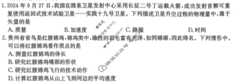 贵州金太阳2024-2025学年高一11月联考(11.9)物理试题