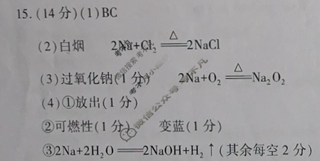 礼泉县2024~2025学年度第一学期期中学科素养评价质量调研高一(11月)化学答案