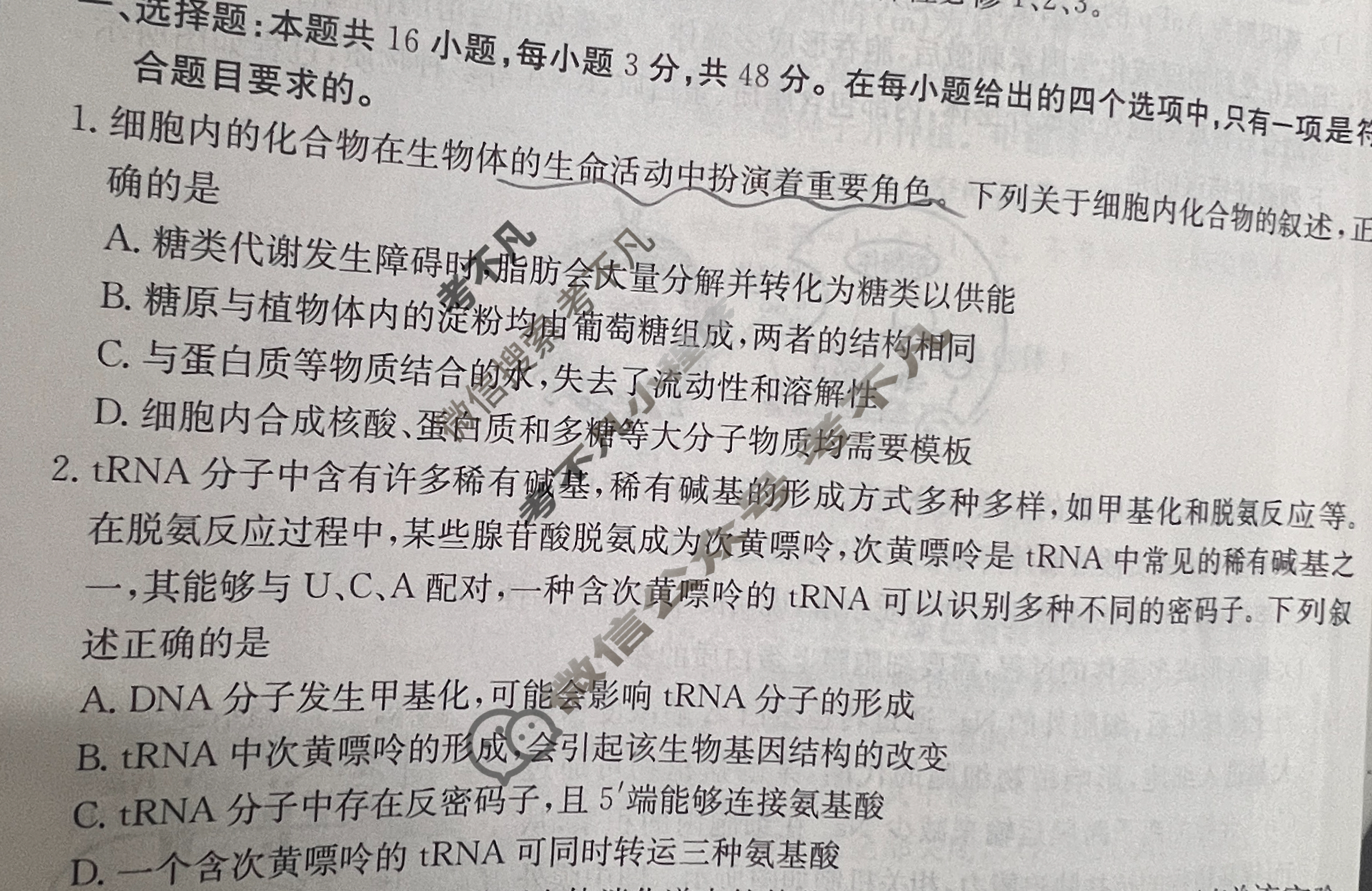 云南省2025届高三金太阳11月联考(YN)生物试题
