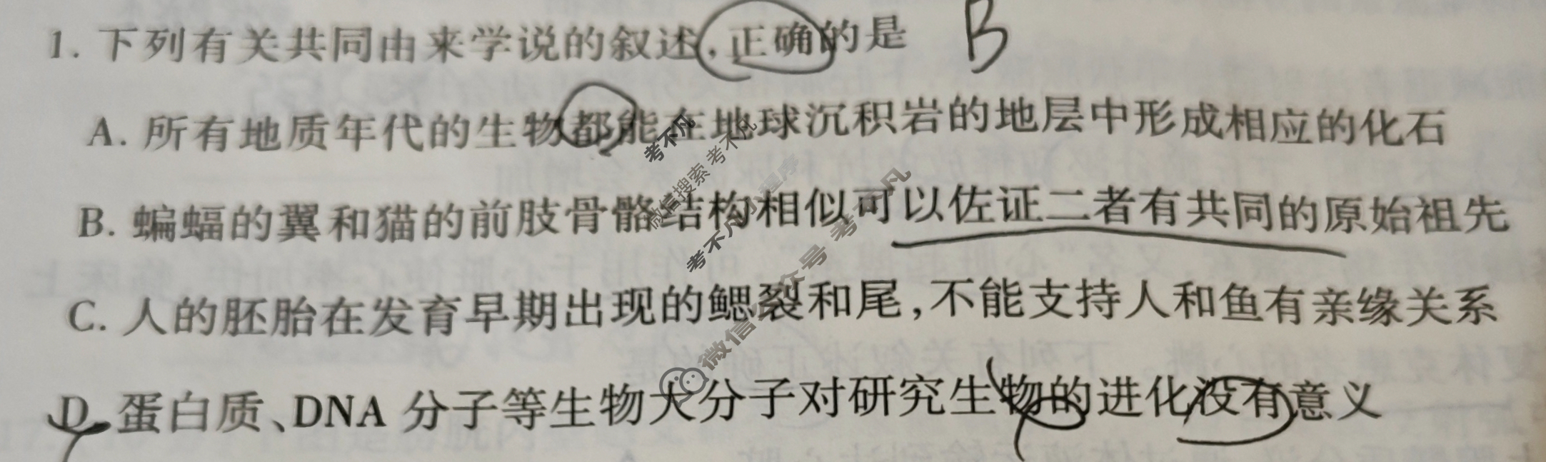 [天一大联考]海南省2024-2025学年高二年级学业水平诊断(一)1生物试题