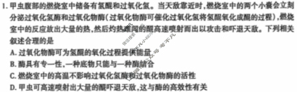 [天一大联考]湖南省2024-2025学年高二联考(11月)生物试题