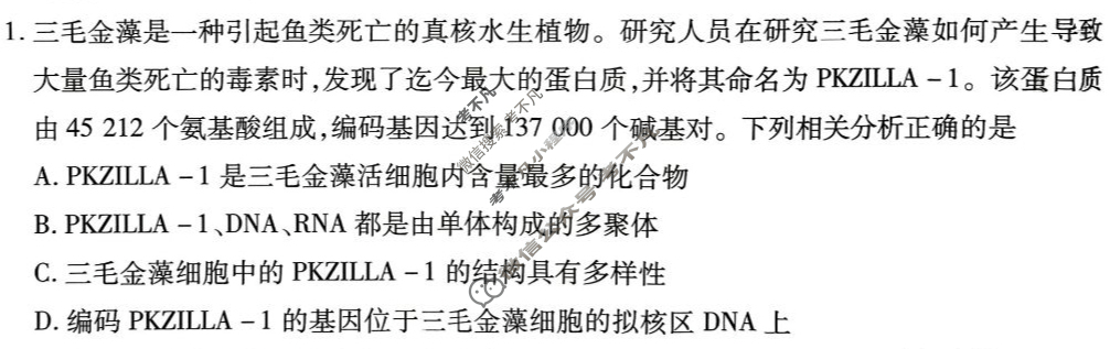 [天一大联考·安徽卓越县中联盟]2024-2025学年上学期高三年级期中联考生物试题