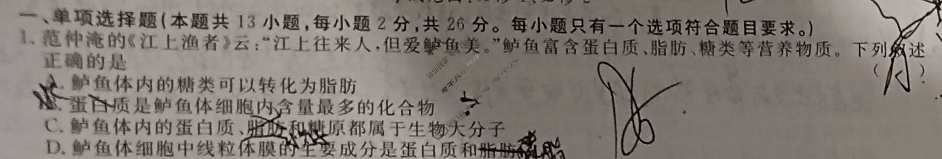 [名校联考]2025届高三总复习·月考卷(二)2生物新S5J试题