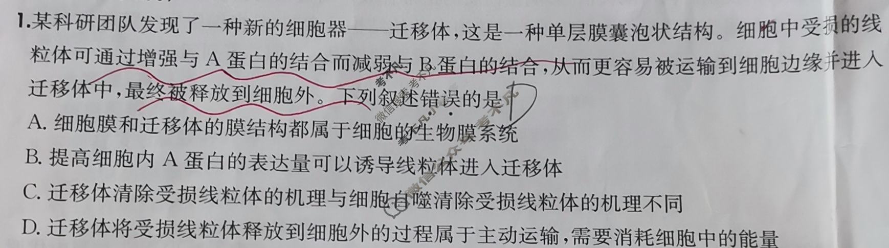 2025年高三第一轮复习周测卷·生物学[25·G3ZCJ(新高考)·生物学-R-必考-QGA-Y](四)4试题