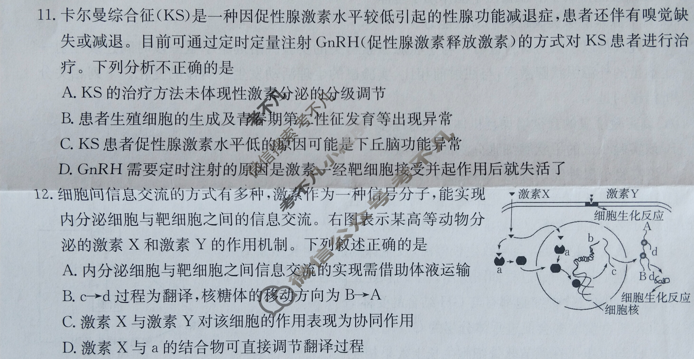 2025年卷行天下·周测卷 生物学(四)4[25ZC·生物学-R-选择性必修1-HAIN]试题