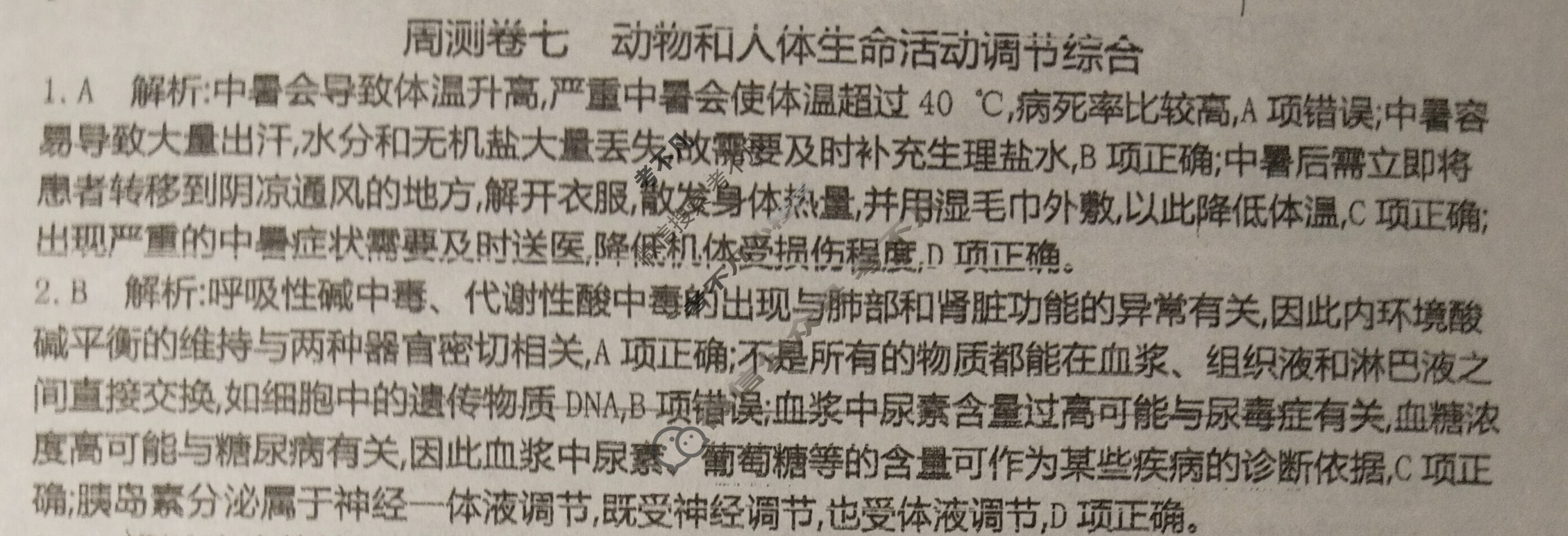 2025年卷行天下·周测卷 生物学(七)7[25ZC·生物学-R-选择性必修1-HAIN]答案
