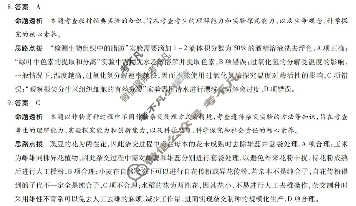[天一大联考]2024-2025学年第一学期高三年级学情调研测试试卷生物(B卷)答案