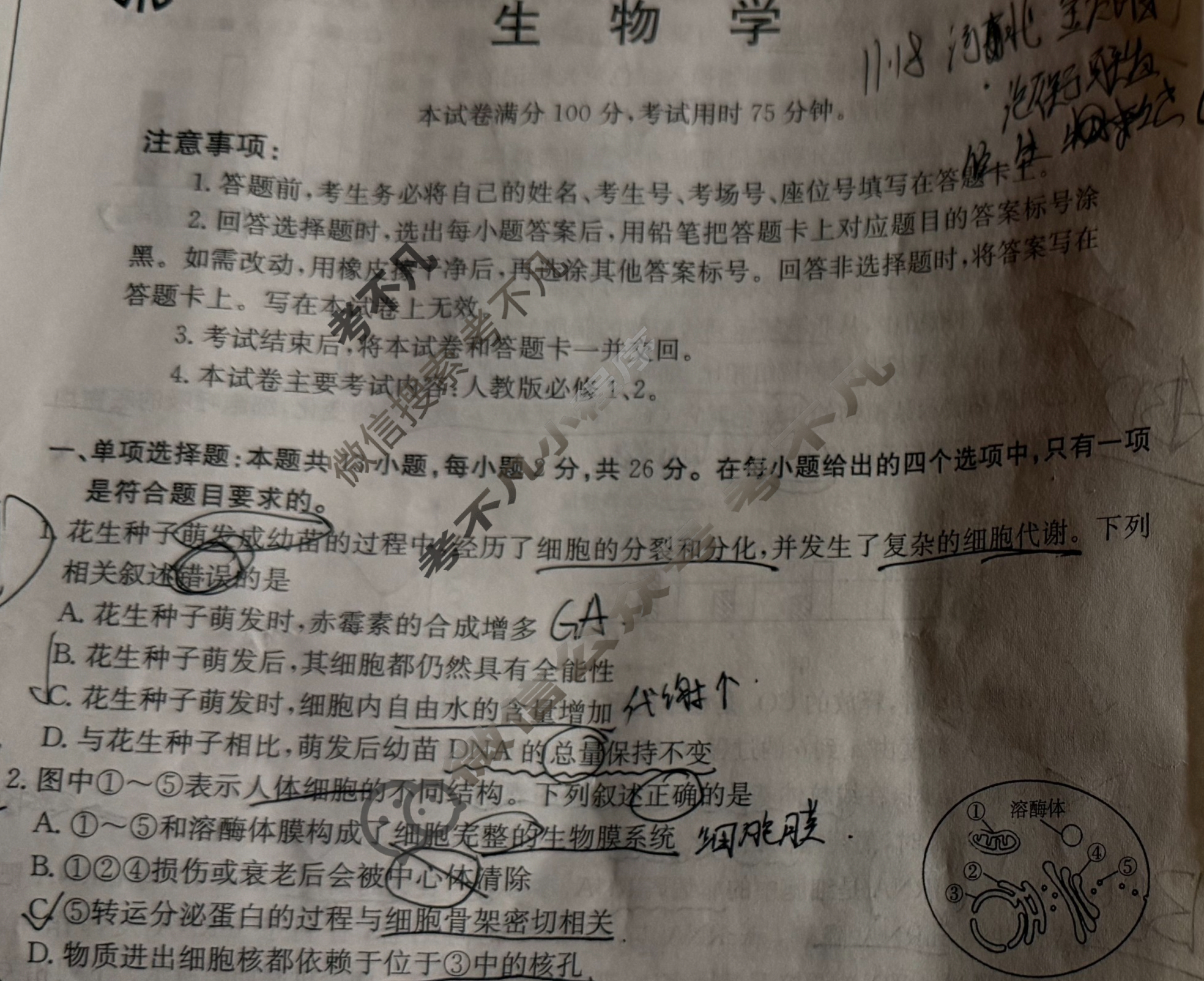沧衡名校联盟高三年级2024-2025学年上学期期中考试(11月)生物试题