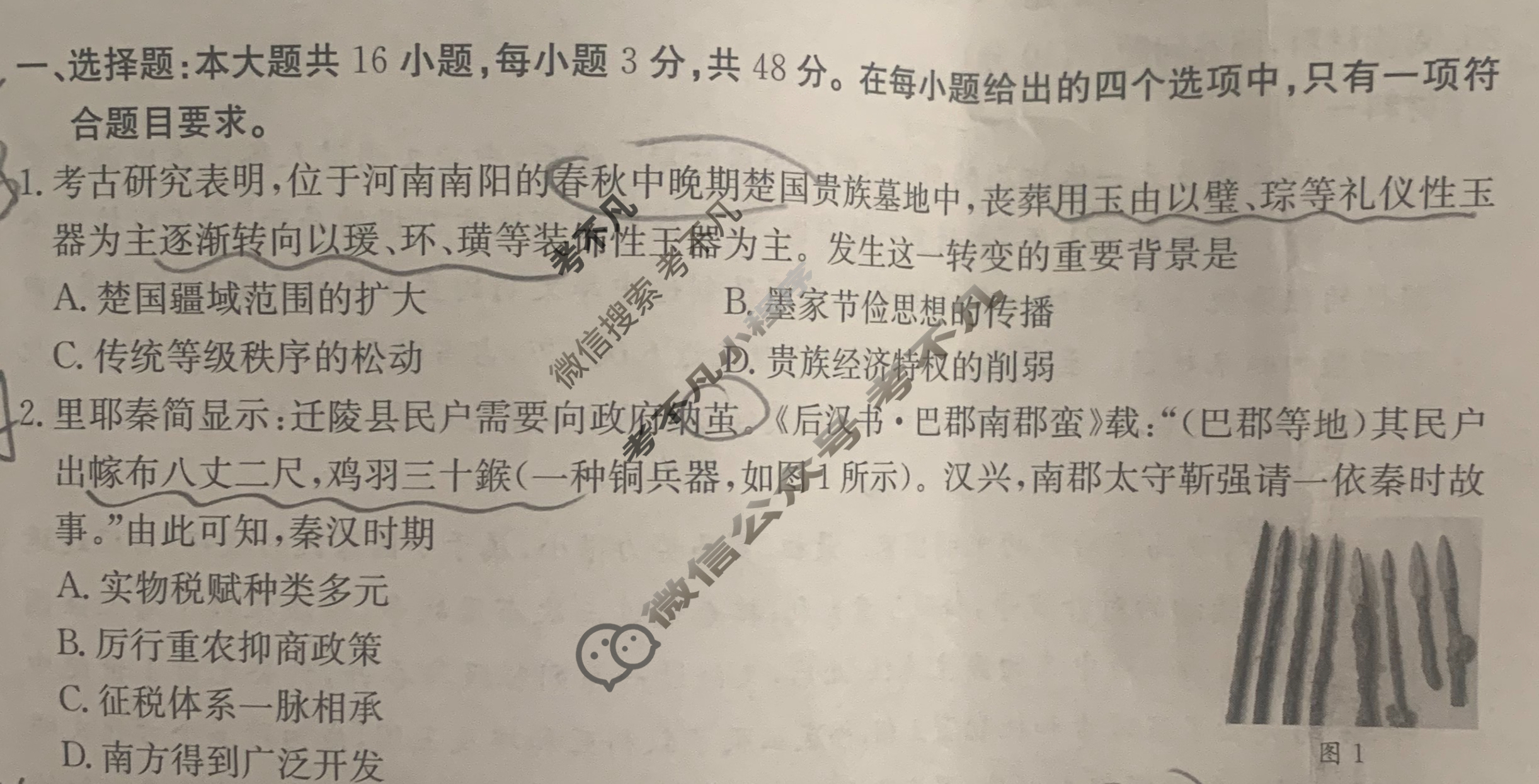 广西2025届高三金太阳11月联考(11.20)历史试题