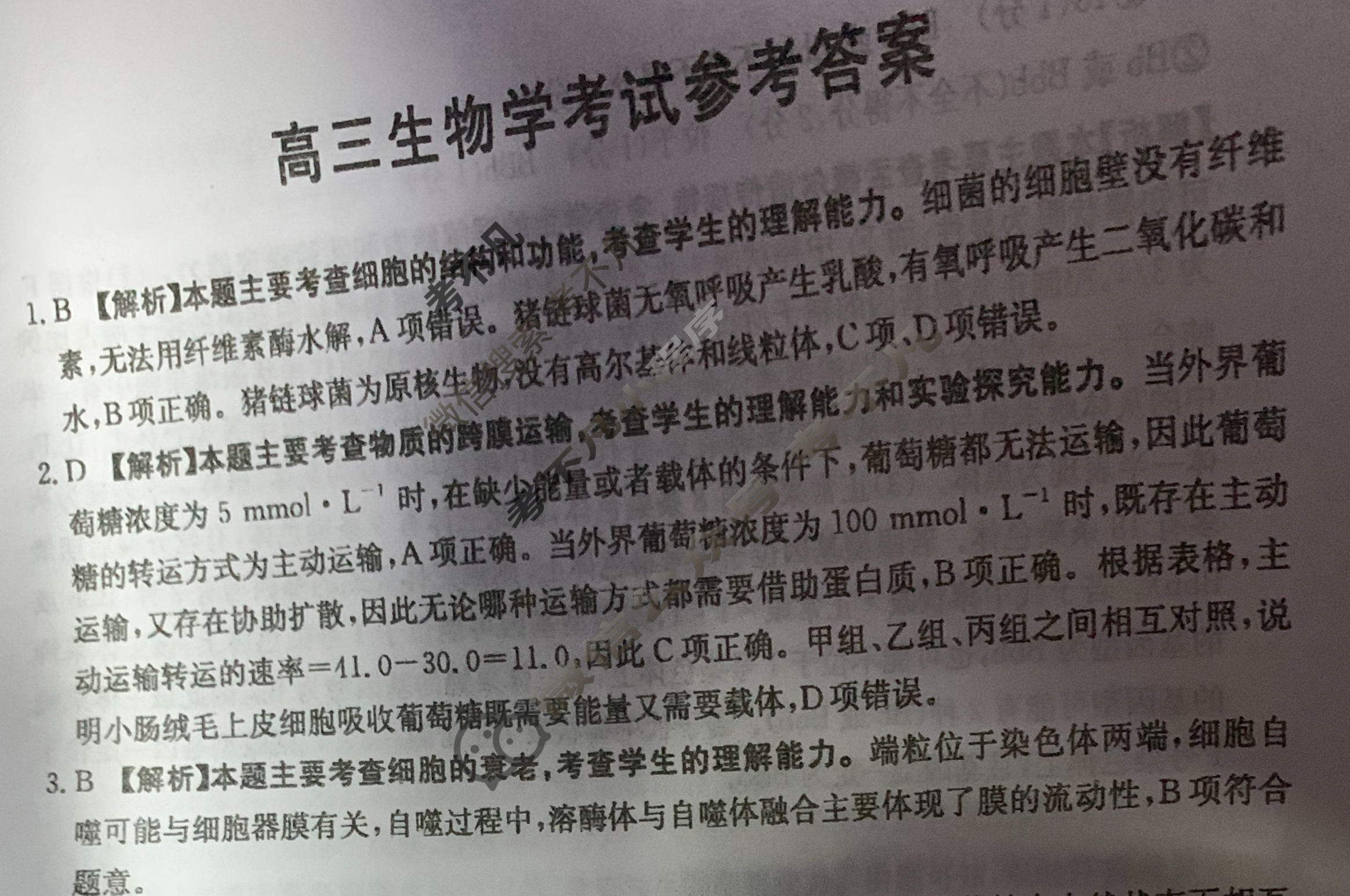 广西2025届高三金太阳11月联考(11.20)生物答案