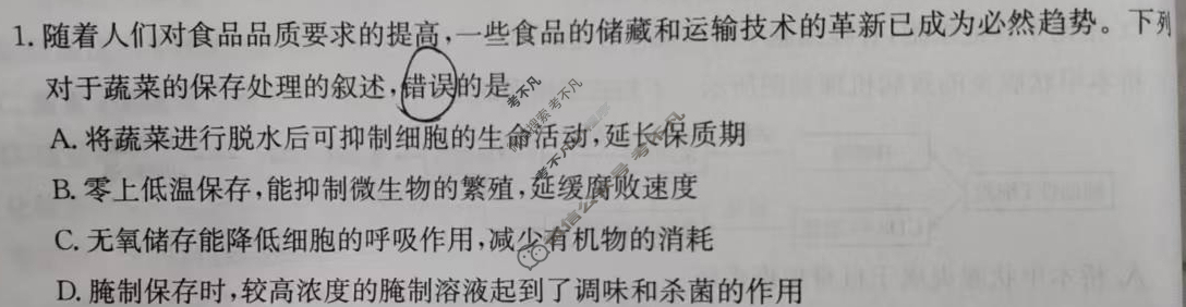 黑吉辽2025届高三金太阳11月联考(11.25)生物试题