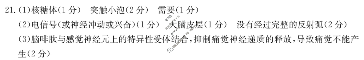 内蒙古2024-2025学年高二金太阳11月联考(25-174B)生物答案