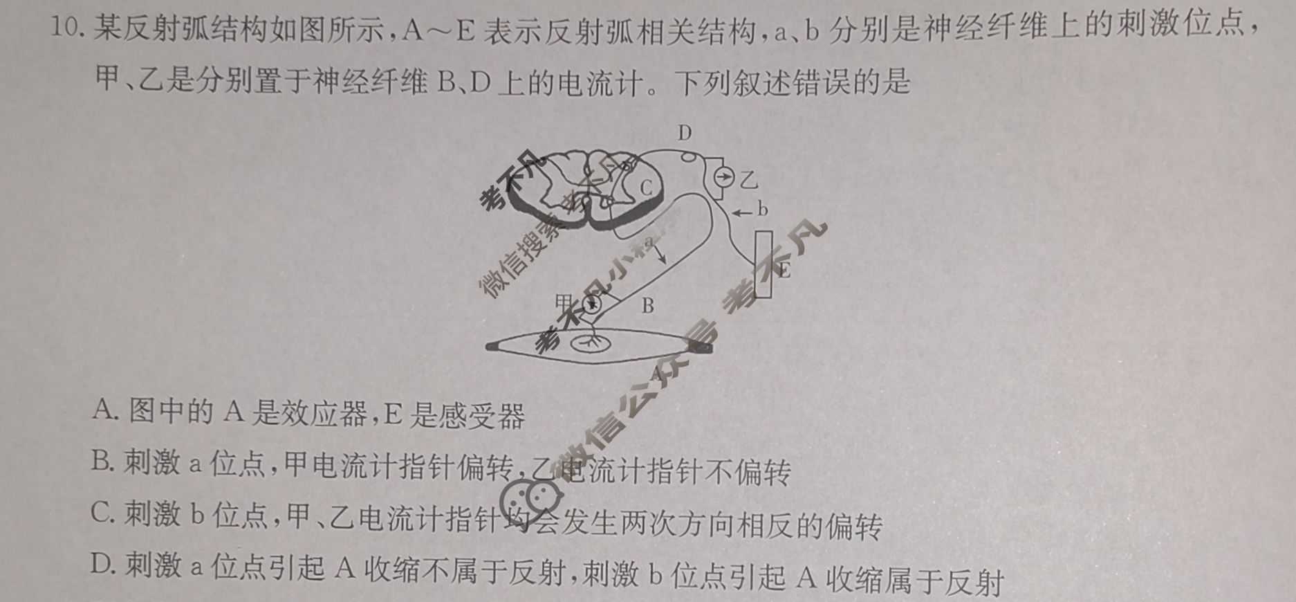 2025届高三金太阳11月百万联考(11.28)生物HUN试题
