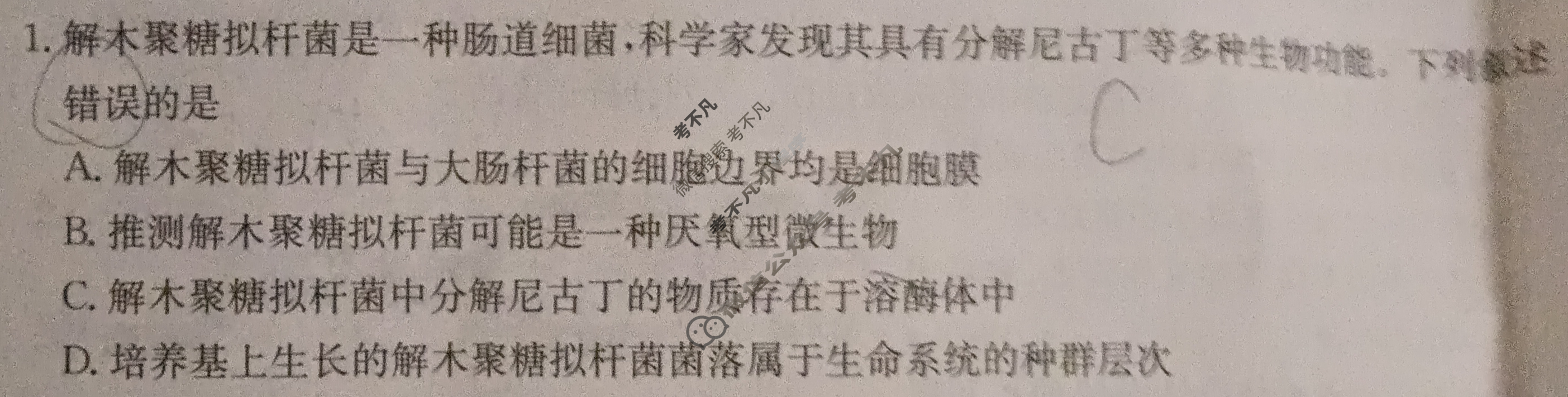 2025届高三金太阳11月百万联考(11.28)生物SHX试题