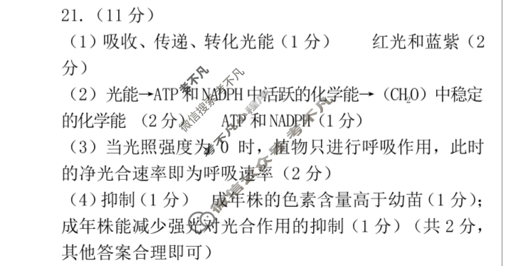 [点石联考]2024年12月份东三省高三联考调研测试生物答案