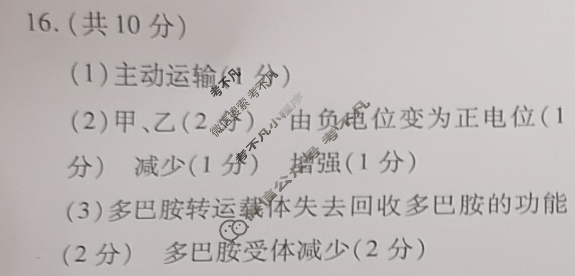 [天一大联考]2024-2025学年海南省高考全真模拟卷(三)3生物答案