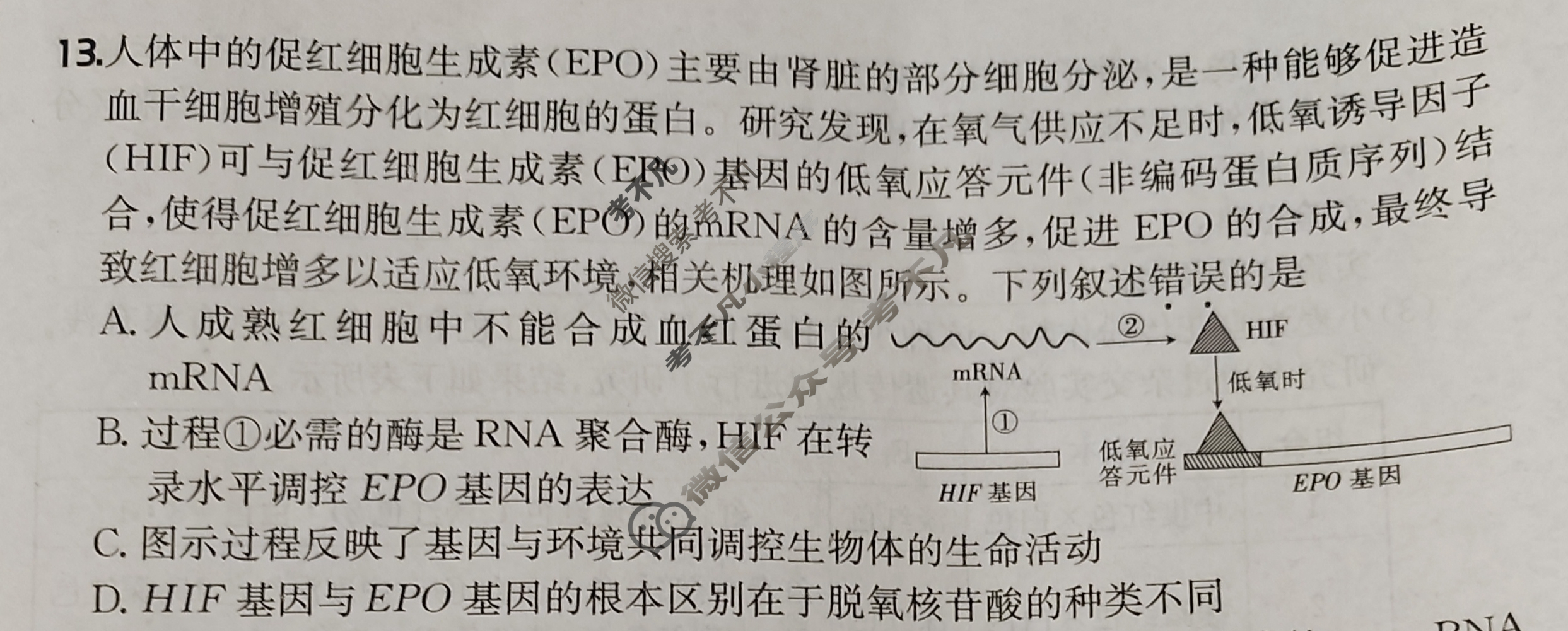 2025年全国100所名校高三单元测试示范卷·生物学[25·G3DY(新高考)·生物学-R-必考-QGA](十)10试题