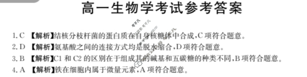 陕西省2024-2025学年高一金太阳12月联考(12.10)生物答案