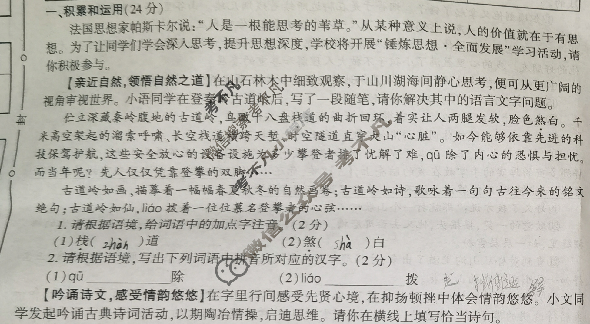 [学林教育]2024~2025学年度第一学期九年级第二次阶段性作业语文B(部编版)试题