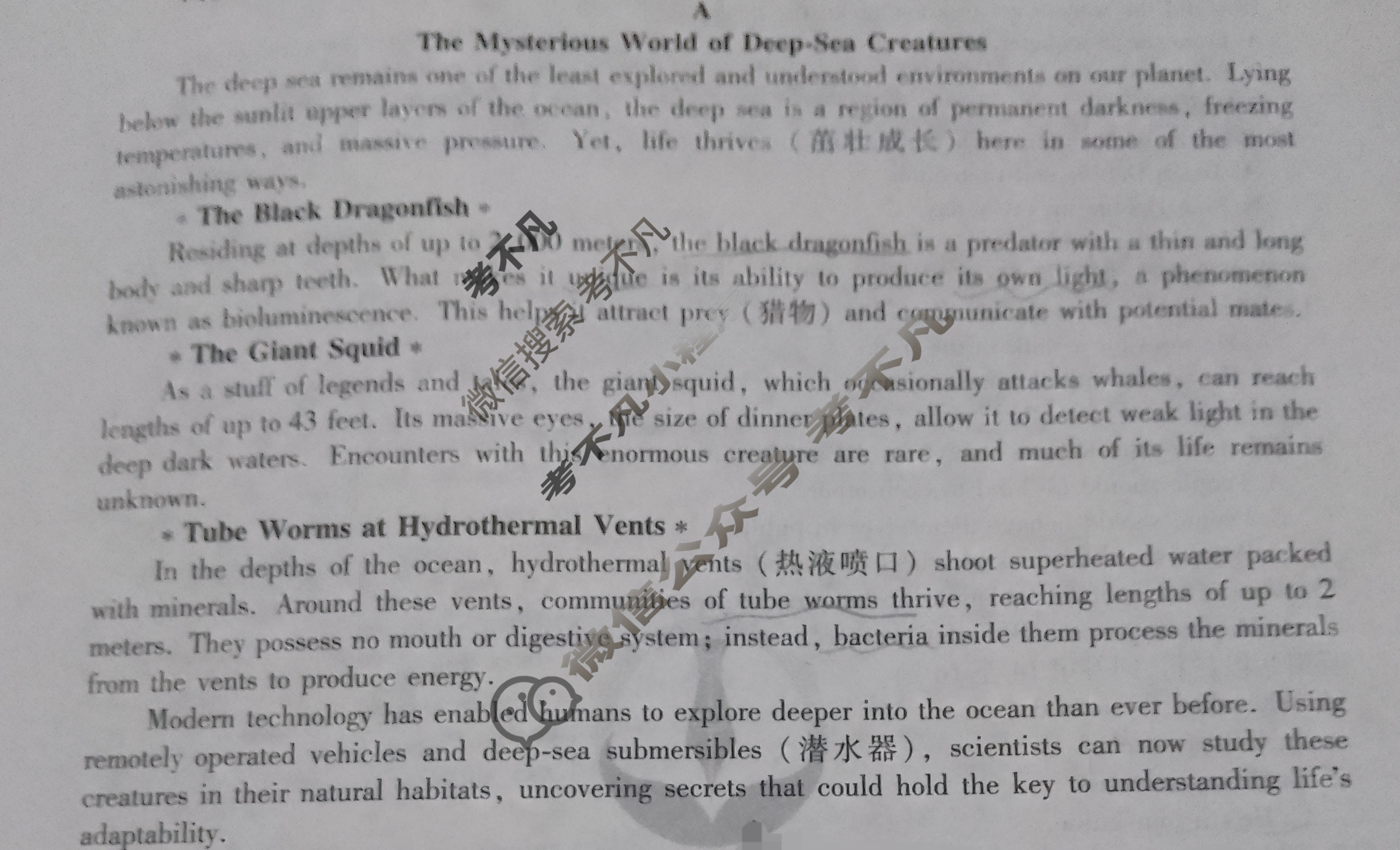 衡水金卷先享题 2024-2025学年度上学期高三年级期中考试·月考卷 英语试题