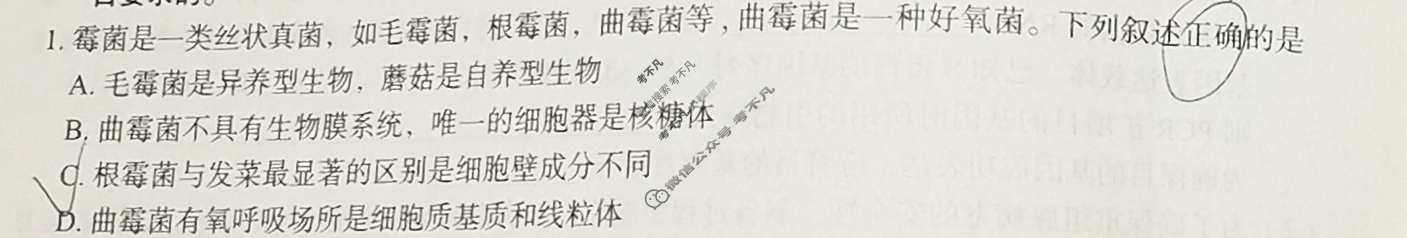 河北省2025届高三学生全过程纵向评价(12月)(一)1生物试题