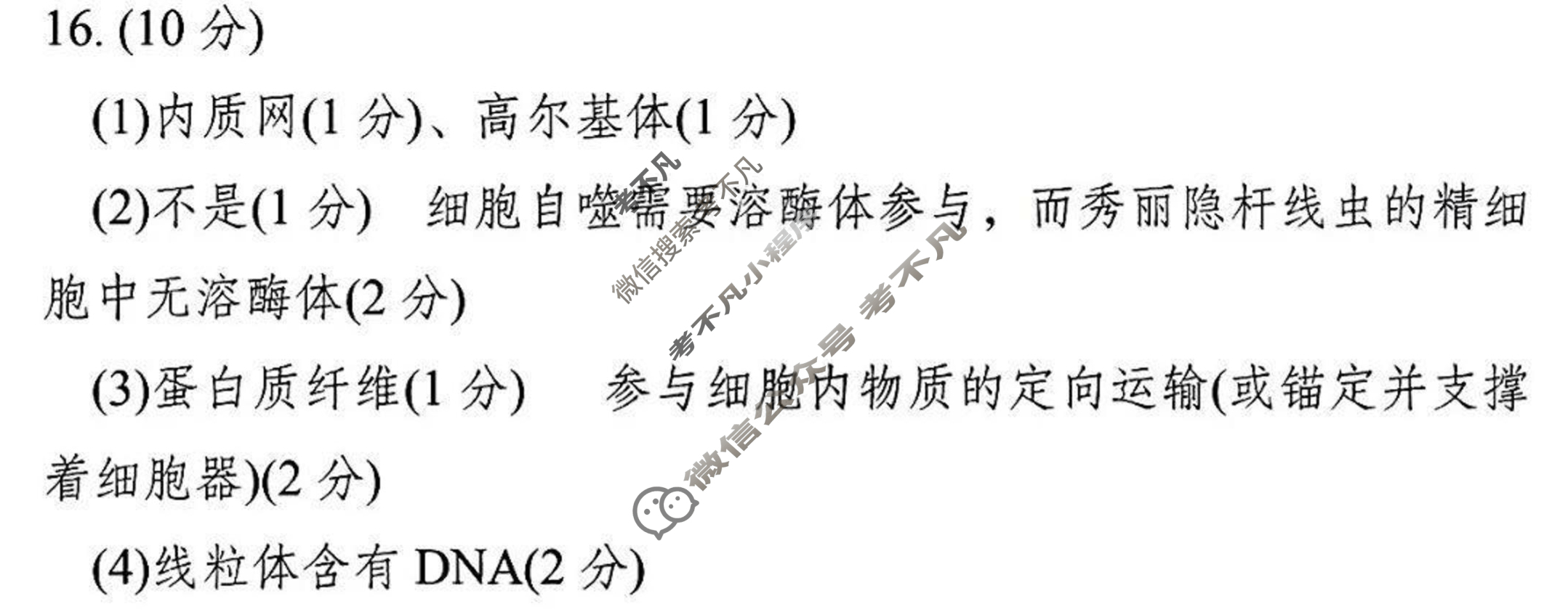四川省达州市普通高中2025届第一次诊断性测试(达州一诊)生物答案