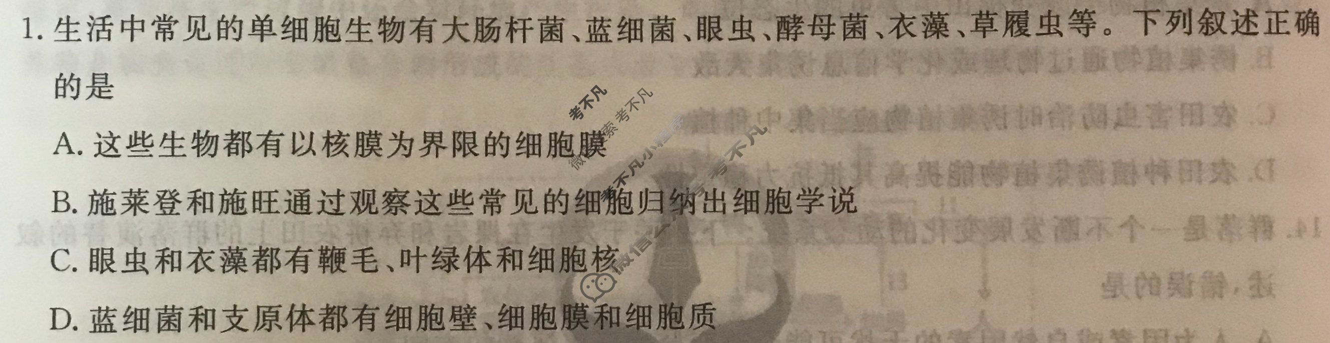 衡水金卷先享题 2024-2025学年度上学期高三年级五调考试·月考卷 生物学试题