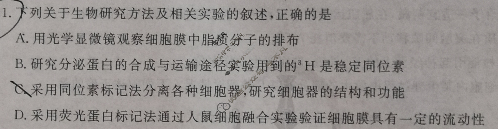 衡水金卷先享题 2024-2025学年度上学期高三年级四调考试·月考卷 生物学HN试题