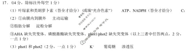 湖南省株洲市2025届高三年级教学质量统一检测(株洲一模)生物答案