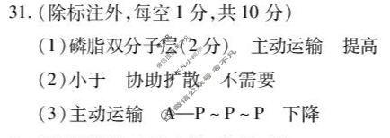 黑龙江省新时代高中教育联合体2024-2025学年上学期高一期末联考(2025.1)生物答案