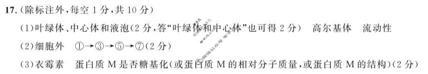 临夏州高中2024-2025学年高一秋季学期期末质量监测试卷生物答案
